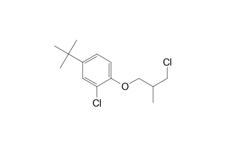 4-Tert-butyl-2-chloranyl-1-(3-chloranyl-2-methyl-propoxy)benzene