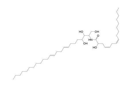 Cer 24:2;3O/16:2;(2OH)