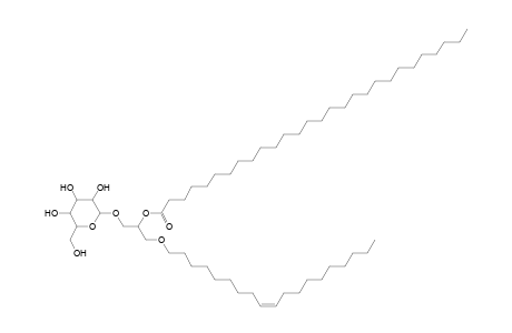 MGDG O-19:1_28:0