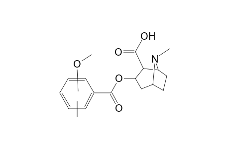 Benzoylecgonine-M (HO-methoxy-HO-ring) isomer 1 MS2