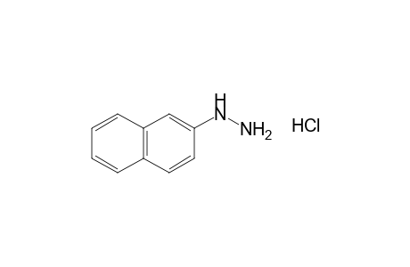 (2-naphthyl)hydrazine, monohydrochloride
