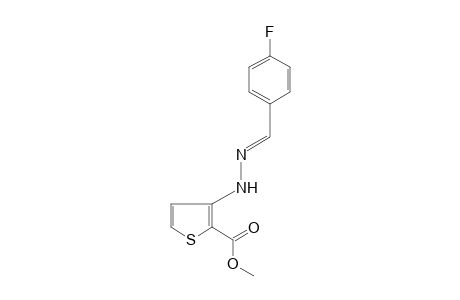 3-[(p-fluorobenzylidene)hydrazino]-2-thiophenecarboxylic acid, methyl ester