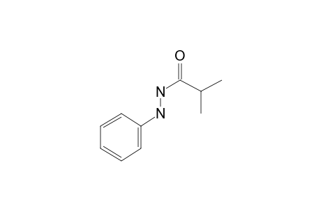 N'-Phenylisobutyrohydrazide