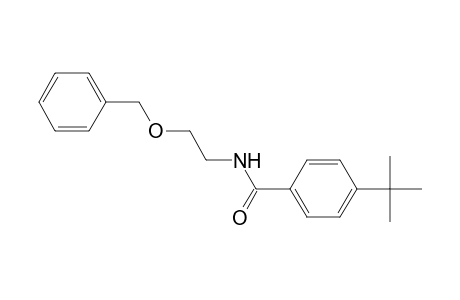 N-[2-(Benzyloxy)ethyl]-4-tert-butylbenzamide