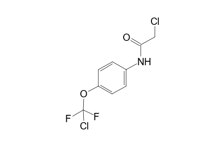Acetamide, 2-chloro-N-(4-chlorodifluoromethoxyphenyl)-