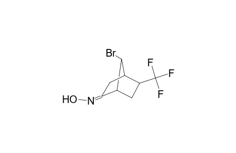 7-Bromo-5-(trifluoromethyl)bicyclo[2.2.1]heptan-2-one oxime