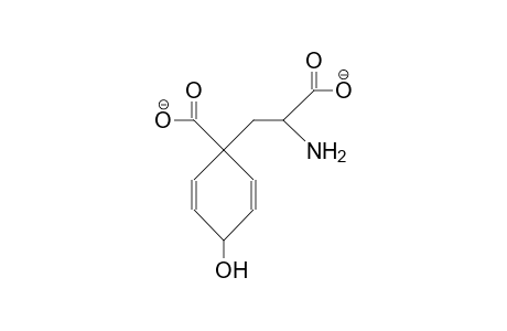 Arogenate dianion