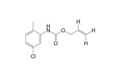 5-chloro-2-methylcarbanilic acid, allyl ester