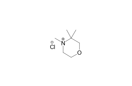 3,3,4-TRIMETHYL-MORPHOLINE-HYDROCHLORIDE