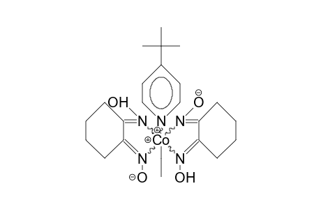 trans-Ethyl-(4-tert-butyl-pyridine)-bis(1,2-cyclohexanedione-dioximato) cobalt(iii)