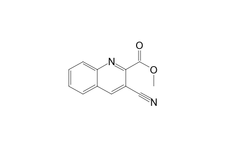 3-cyanoquinaldic acid methyl ester