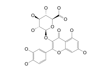 QUERCETIN-3-BETA-O-GLUCURONOPYRANOSIDE