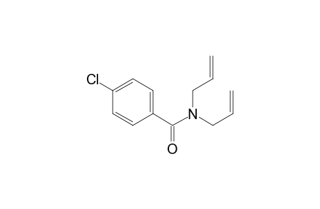 4-Chloranyl-N,N-bis(prop-2-enyl)benzamide