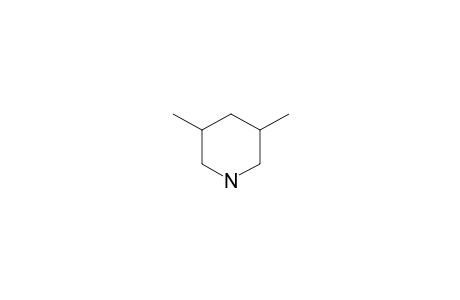 cis-3,5-Dimethyl-piperidine