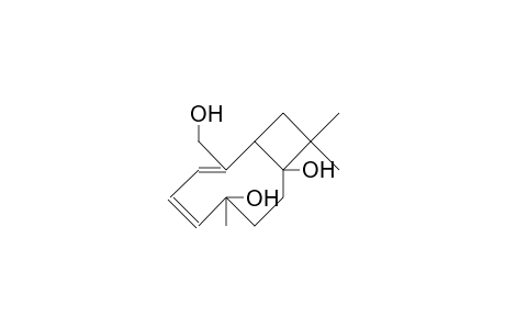 Punctaporonin B