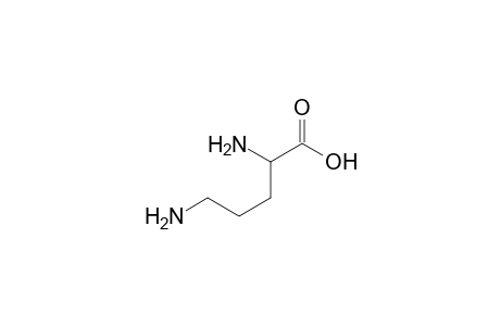 ORNITHINE;REACTED-WITH-HCHO