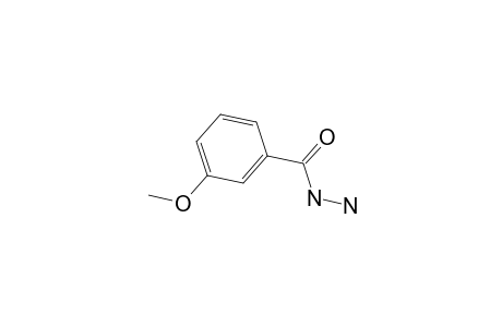 m-Anisic hydrazide