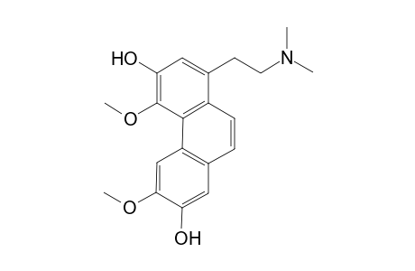 Boldine-methine