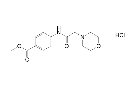 p-(2-Morpholinoacetamido)benzoic acid, methyl ester, hydrochloride