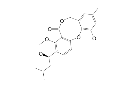 PENICILLIDE