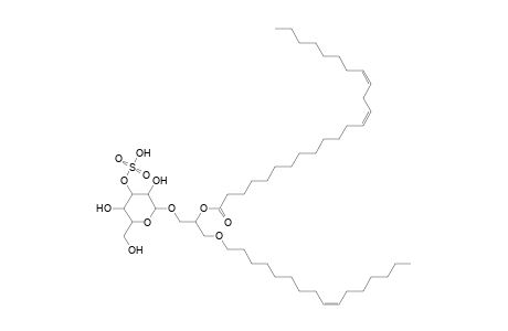 SMGDG O-16:1_24:2