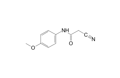 2-cyano-p-acetanisidide
