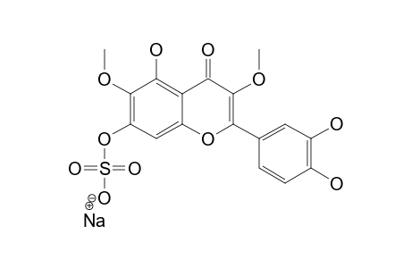 CENTARADIXIN;AXILLARIN-7-SULPHATE-SODIUM-SALT