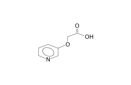 3-Carboxymethyloxypyridine