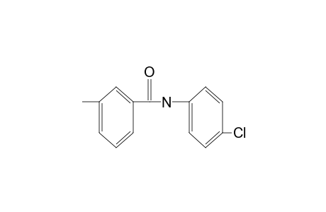 4'-chloro-m-toluaniline