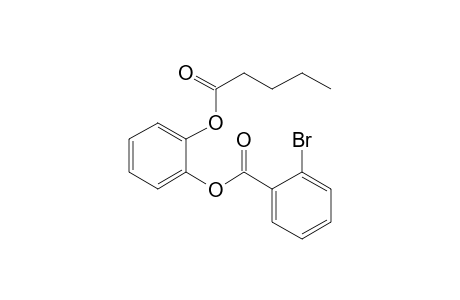 1,2-Benzenediol, o-(2-brombenzoyl)-o'-valeryl-