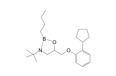 penbutolol-B-butyl-(N,B,O)cycloboronate derivative