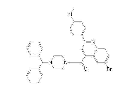 4-[(4-benzhydryl-1-piperazinyl)carbonyl]-6-bromo-2-(4-methoxyphenyl)quinoline