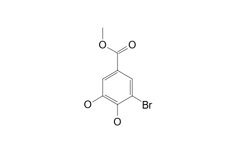 3-Bromo-4,5-dihydroxybenzoic acid methyl ester