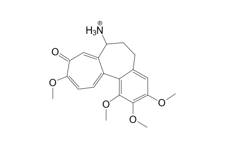 Colchicine MS3_1