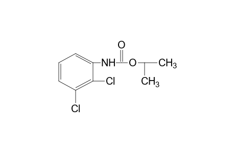 2,3-dichlorocarbanilic acid, isopropyl ester