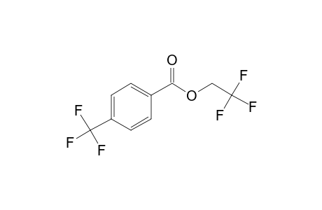 4-Trifluoromethylbenzoic acid, 2,2,2-trifluoroethyl ester