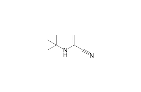 2-t-Butylaminoacrylonitrile