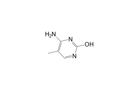 5-Methylcytosine