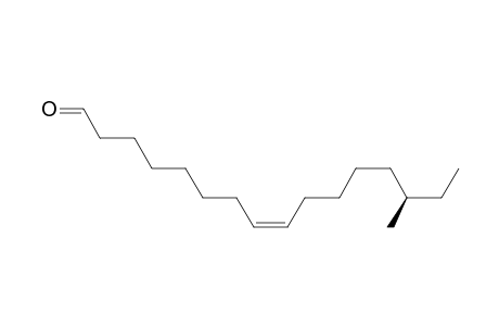 (Z,14R)-14-methyl-8-hexadecenal