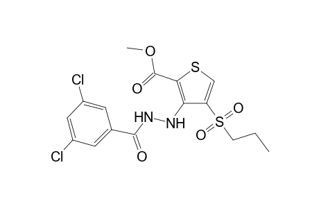 3-[N'-(3,5-dichlorobenzoyl)hydrazino]-4-propylsulfonyl-thiophene-2-carboxylic acid methyl ester