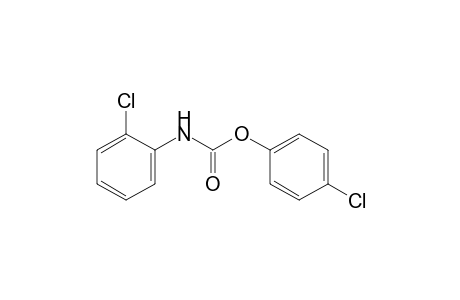 o-chlorocarbanilic acid, p-chlorophenyl ester