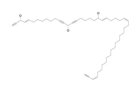 PETROCORTYNE_E