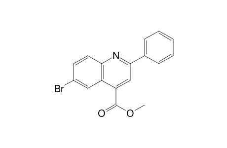 6-Bromo-2-phenylcinchoninic acid, methyl ester