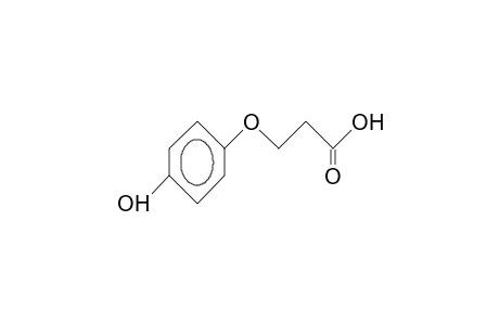 3-(4-Hydroxyphenoxy)propionic acid