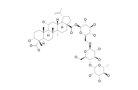 #5;3-ALPHA,11-ALPHA-DIHYDROXY-LUP-20(29)-ENE-23,28-DIOIC-ACID-28-O-[ALPHA-L-RHAMNOPYRANOSYL-(1->4)-O-BETA-D-GLUCOPYRANOSYL-(1->6)]-BETA-D-GLUCOPYRANOSIDE