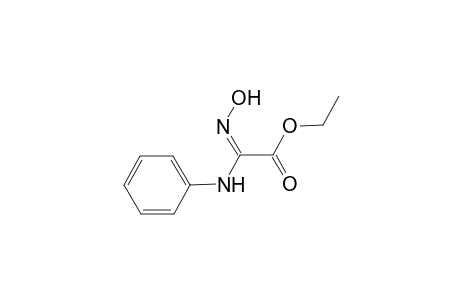 2-(hydroxyamino)-2-phenylimino-acetic acid ethyl ester