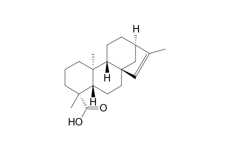 ent-Kaur-15-en-19-oic Acid