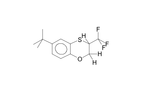 6-tert-Butyl-3-(trifluoromethyl)-2,3-dihydro-1,4-benzoxathiine