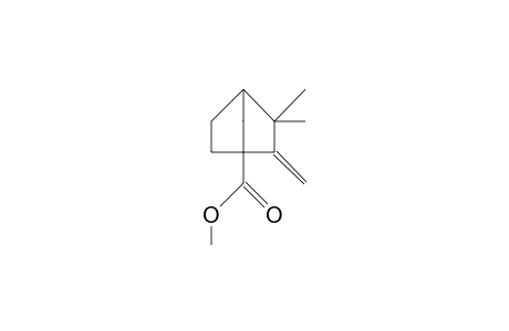 3,3-DIMETHYL-2-METHYLENE-1-NORBORNANECARBOXYLIC ACID, METHYL ESTER