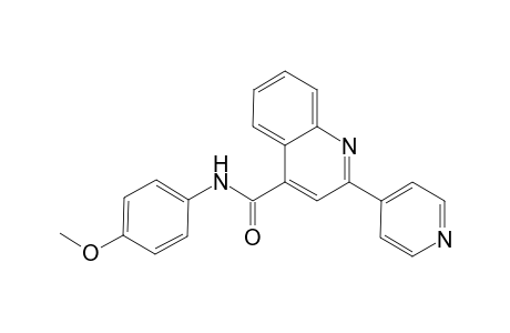 4-quinolinecarboxamide, N-(4-methoxyphenyl)-2-(4-pyridinyl)-